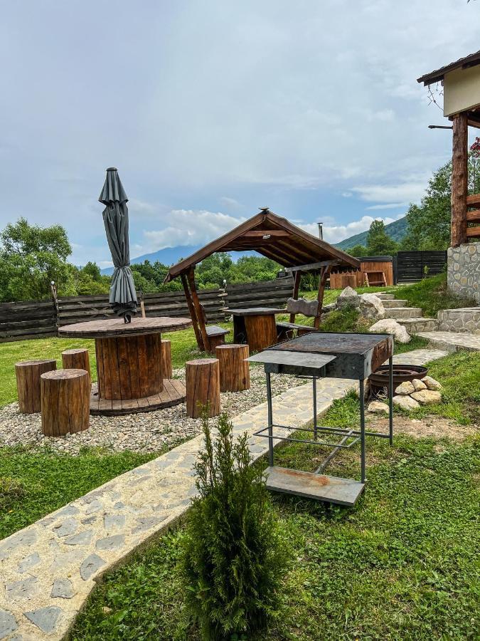 Green Hill Resort Zărneşti Extérieur photo